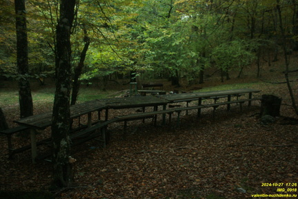 IMG 0918