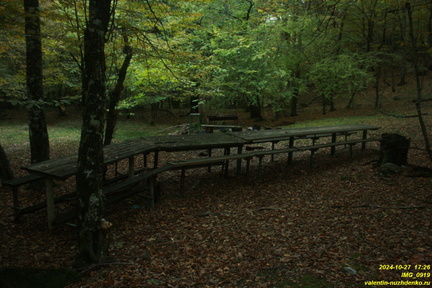 IMG 0919