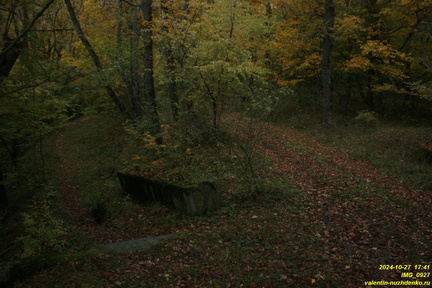 IMG 0927