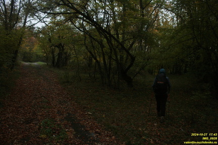 IMG 0928