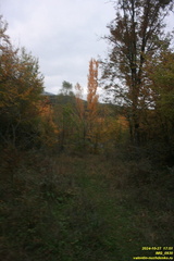 IMG 0930
