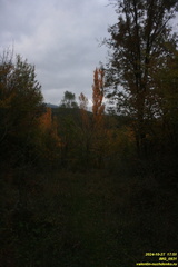 IMG 0931