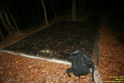 IMG 0939