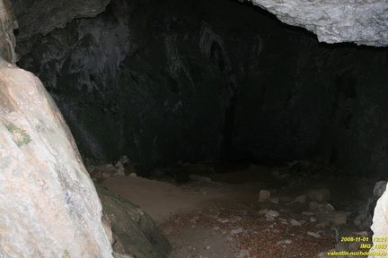 IMG 1663