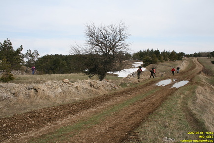 IMG 0513