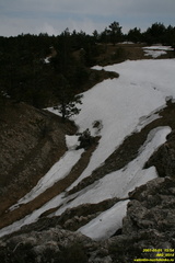 IMG 0514