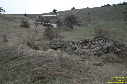 IMG 0517