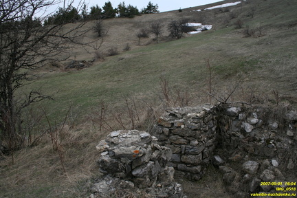 IMG 0518