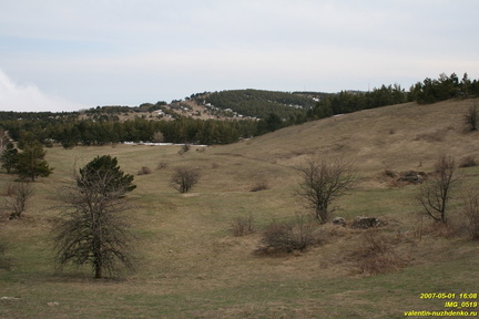 IMG 0519