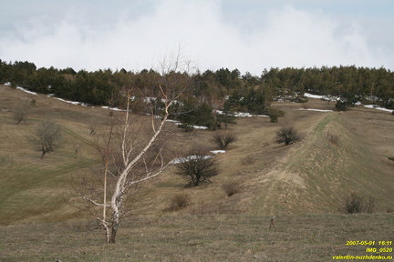 IMG 0520
