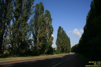 IMG 1561