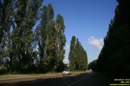IMG 1563